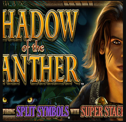 Shadow of the Panther